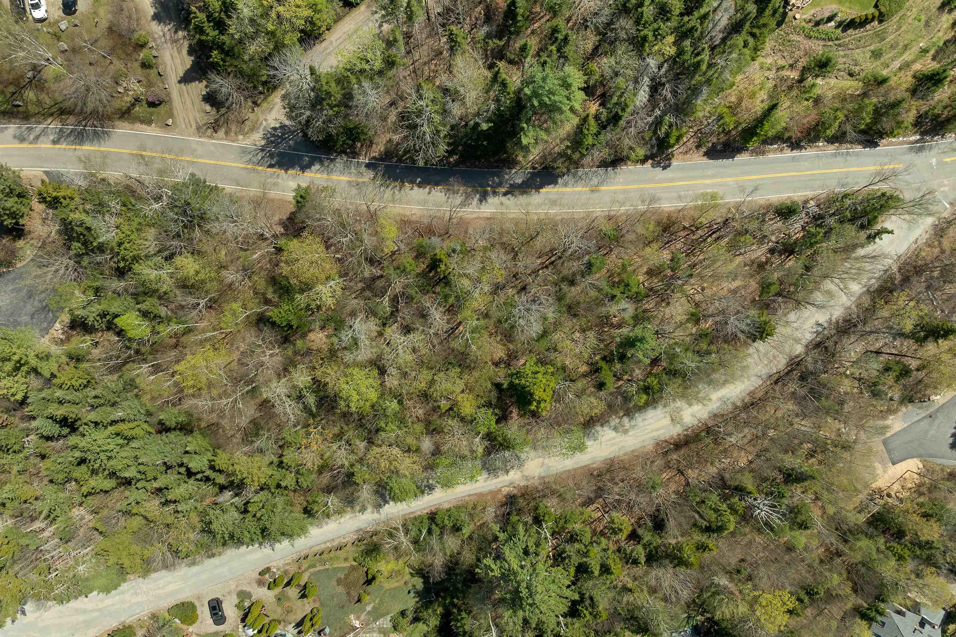 Image 4 Image 4