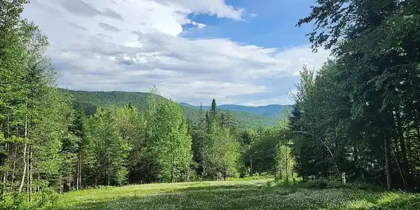 125 Evergreen Lane
