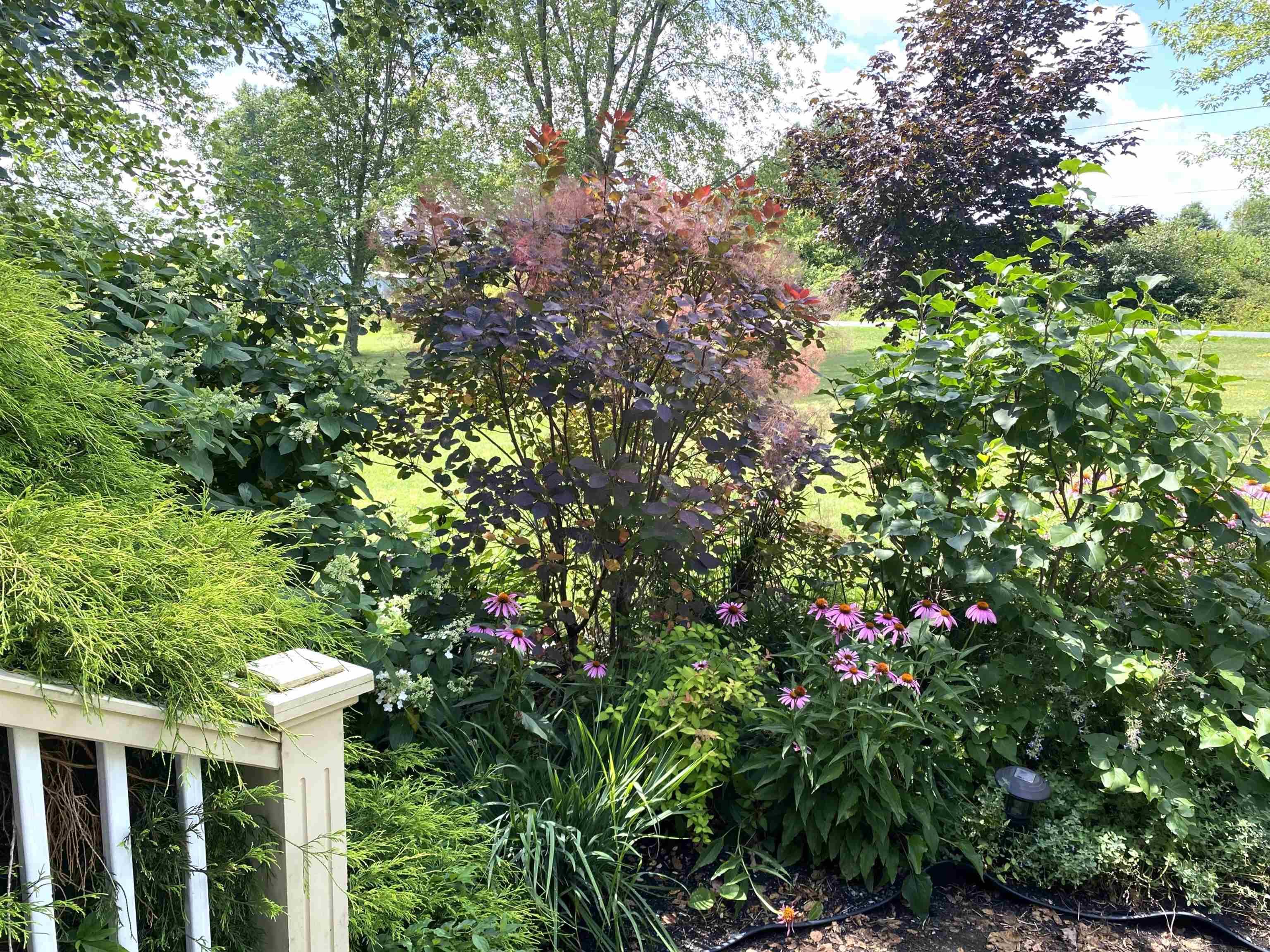 Image 3 Image 3