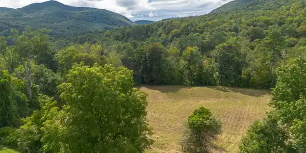 Image 3: 13.77 ACRES