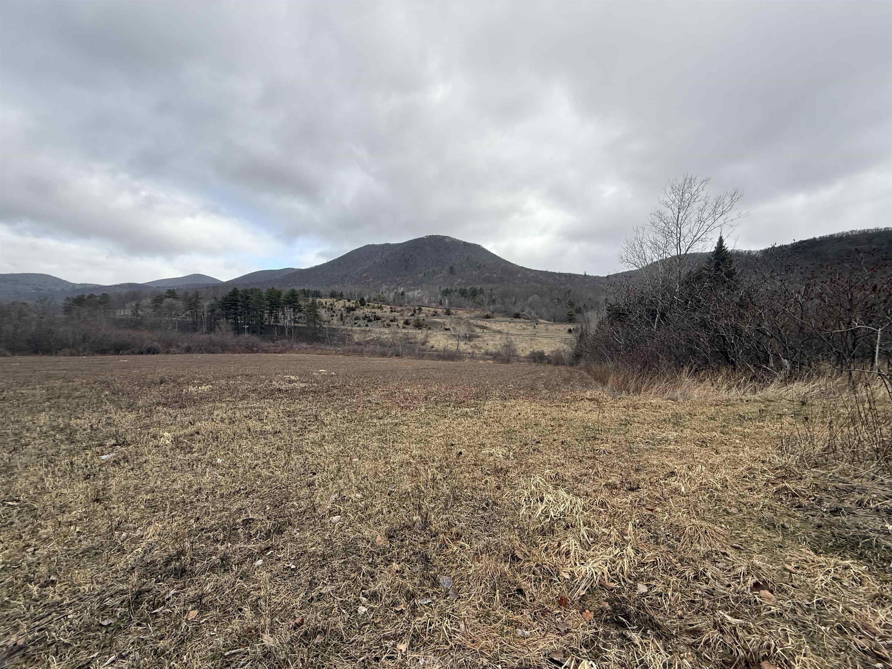 Image 3 Image 3