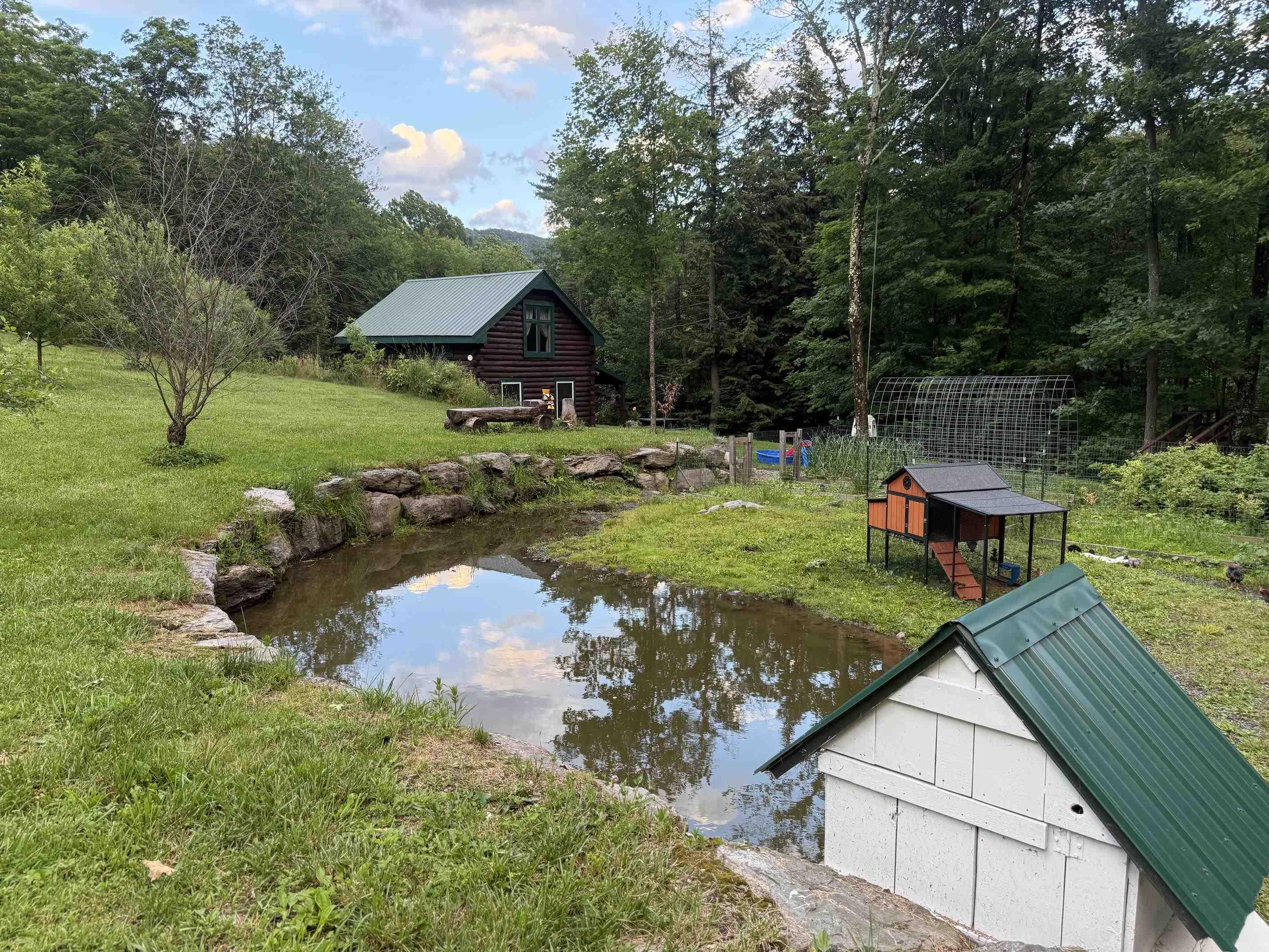 Image 3: DUCK POND Image 3: DUCK POND