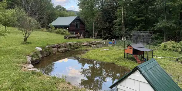 Image 3: DUCK POND