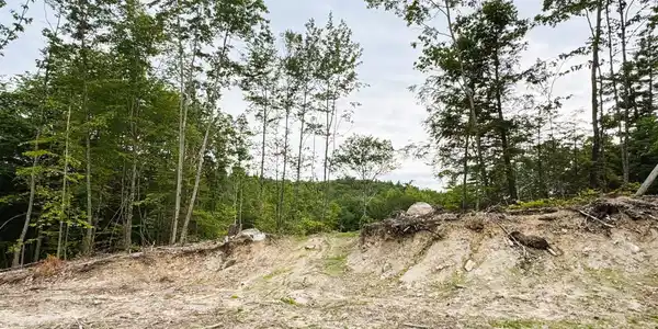 Rines Road