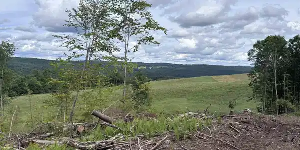 0 Davis Acres Road