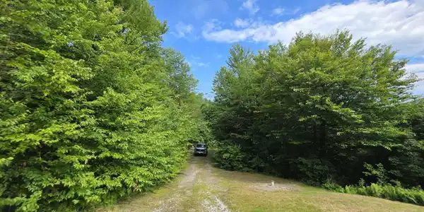 Image 3 Image 3