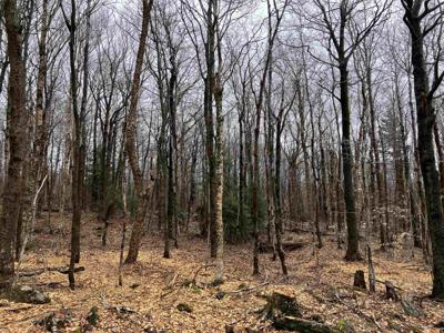 408 Fox Mt. Road