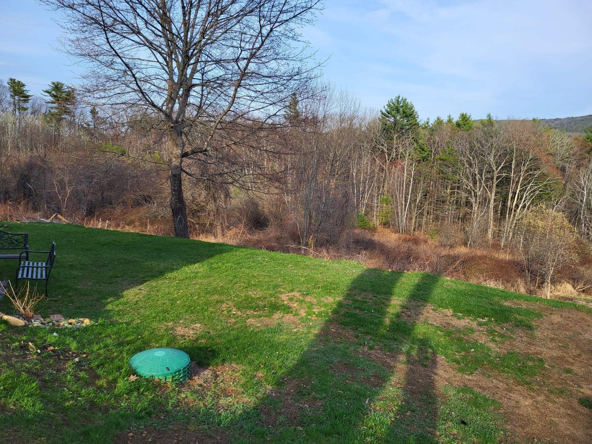 Image 3: back yard to conservation land