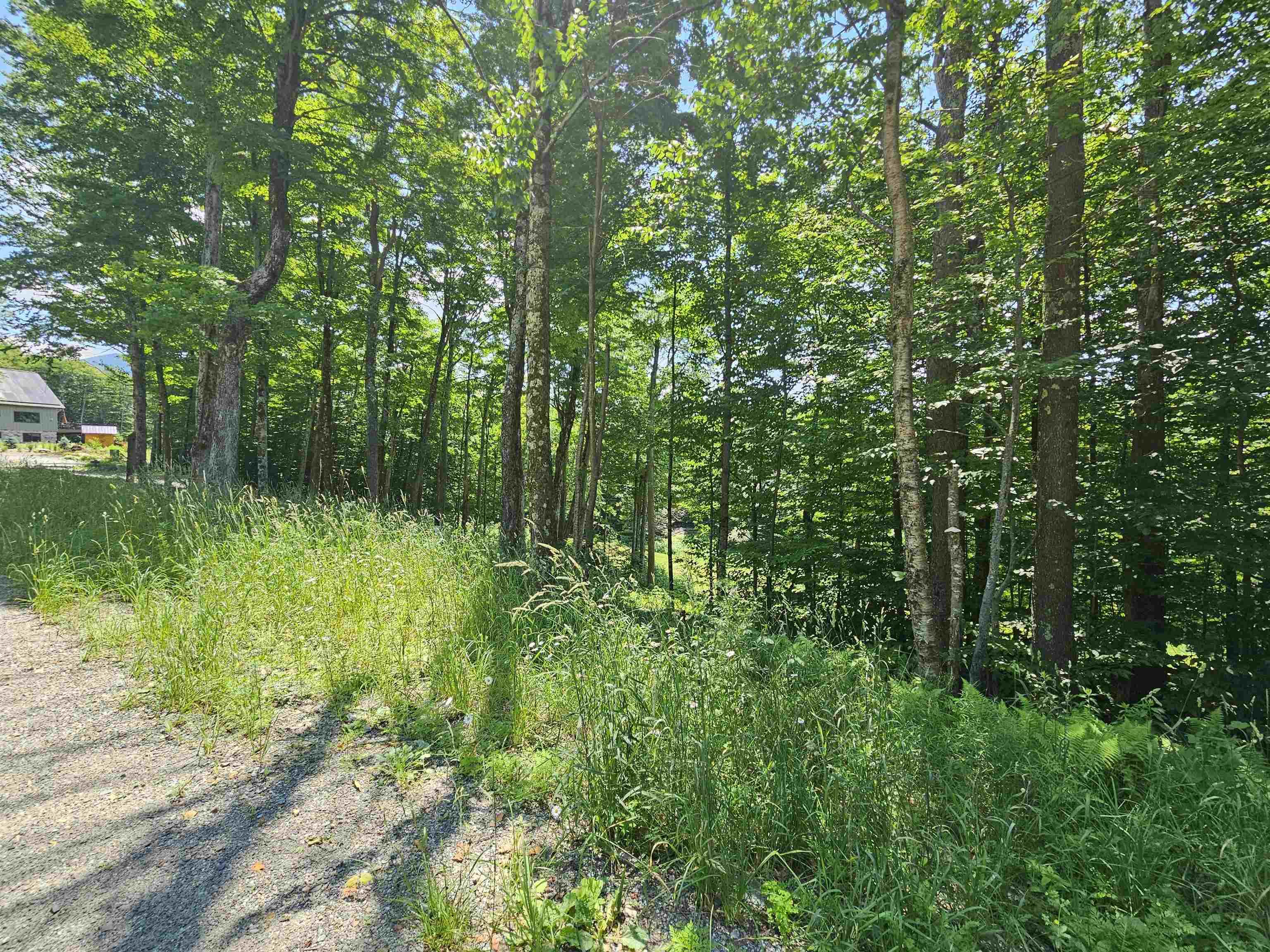 Image 4 Image 4