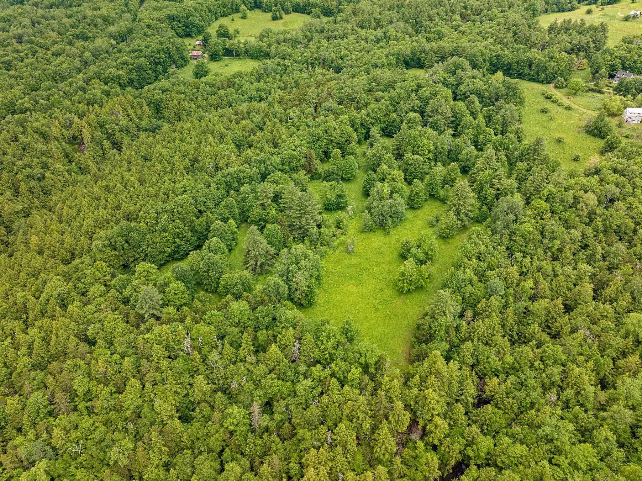 Image 4 Image 4