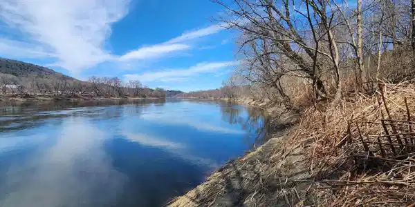 1118 NH Route 12A