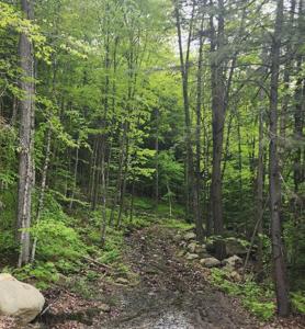 00 Tarbell Hill Road