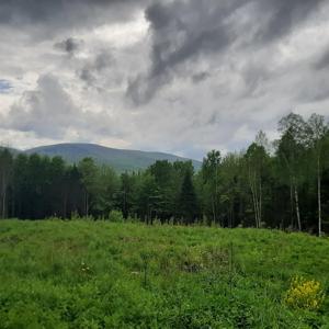 Lot 16 Oakes Road