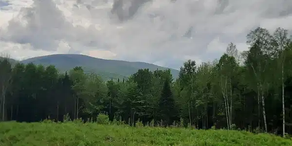 Lot 16 Oakes Road