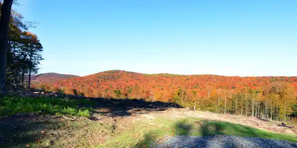 Image 4: North side of the lot