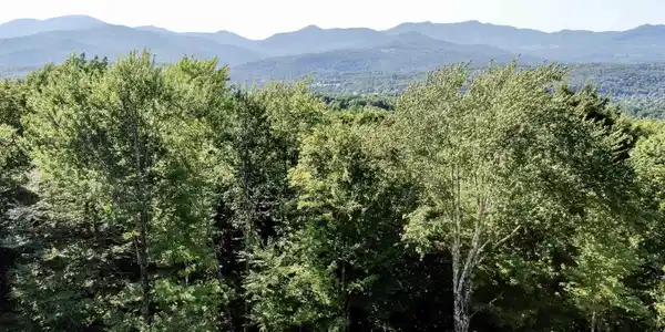 500 Ayers Farm Road