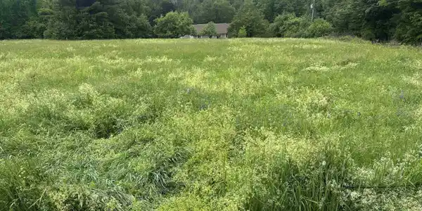 Image 3 Image 3