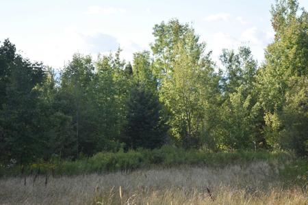 00 RT 58
