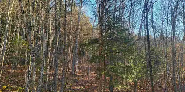 Lot 1 NH Route 49