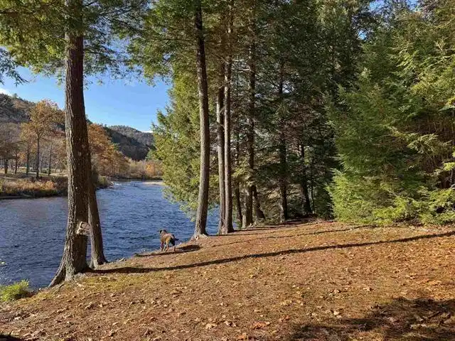 Image 1: Let's take a dip! or stroll along the path