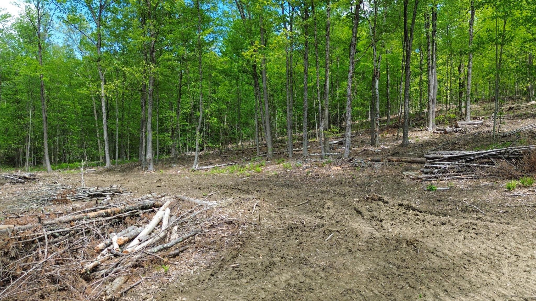 Image 2 Image 2