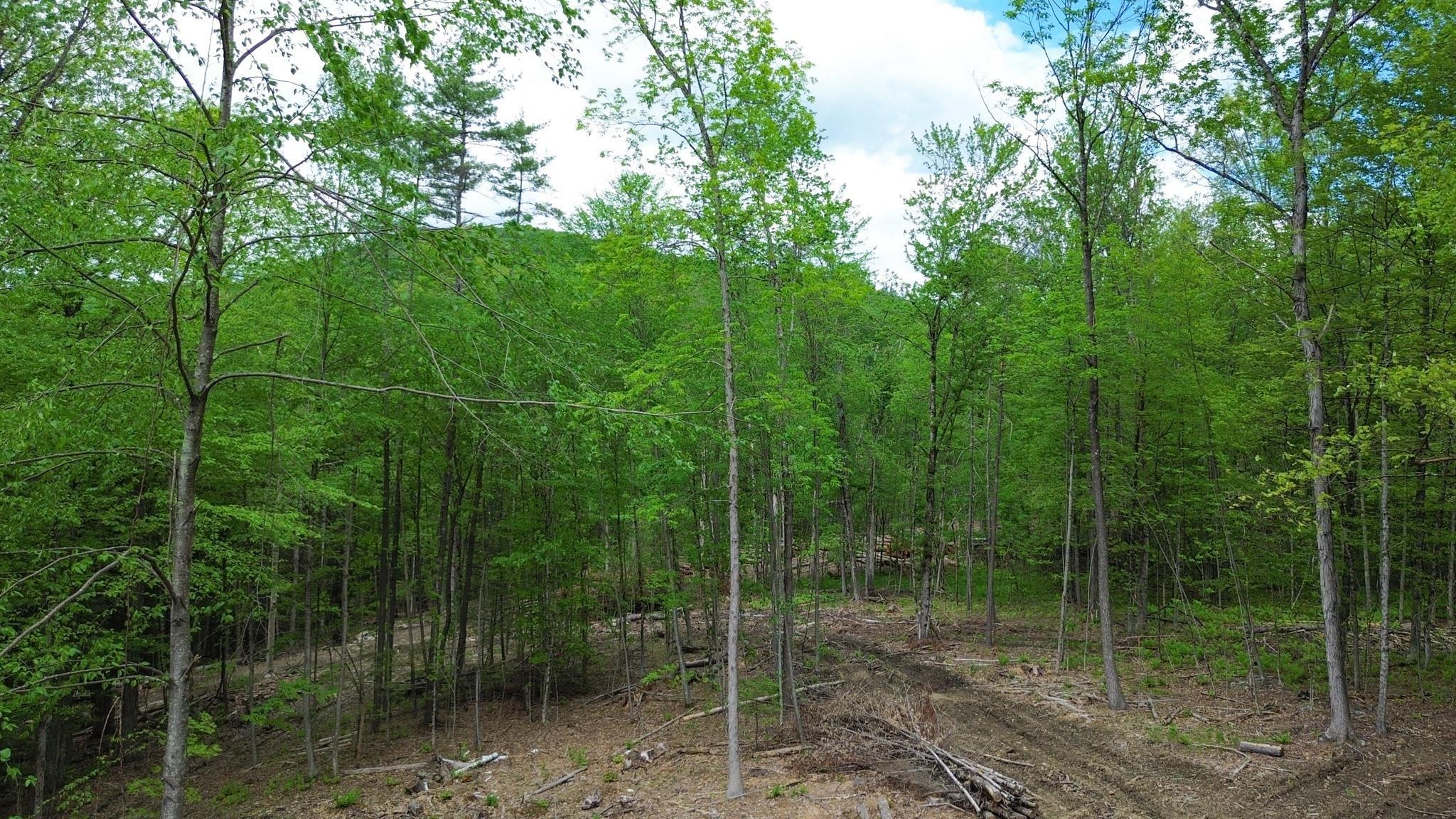 Image 4 Image 4