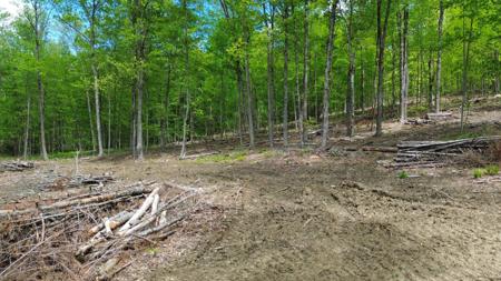 Lot 26-4 Plain Road