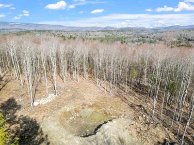 151 Woodland Heights Road