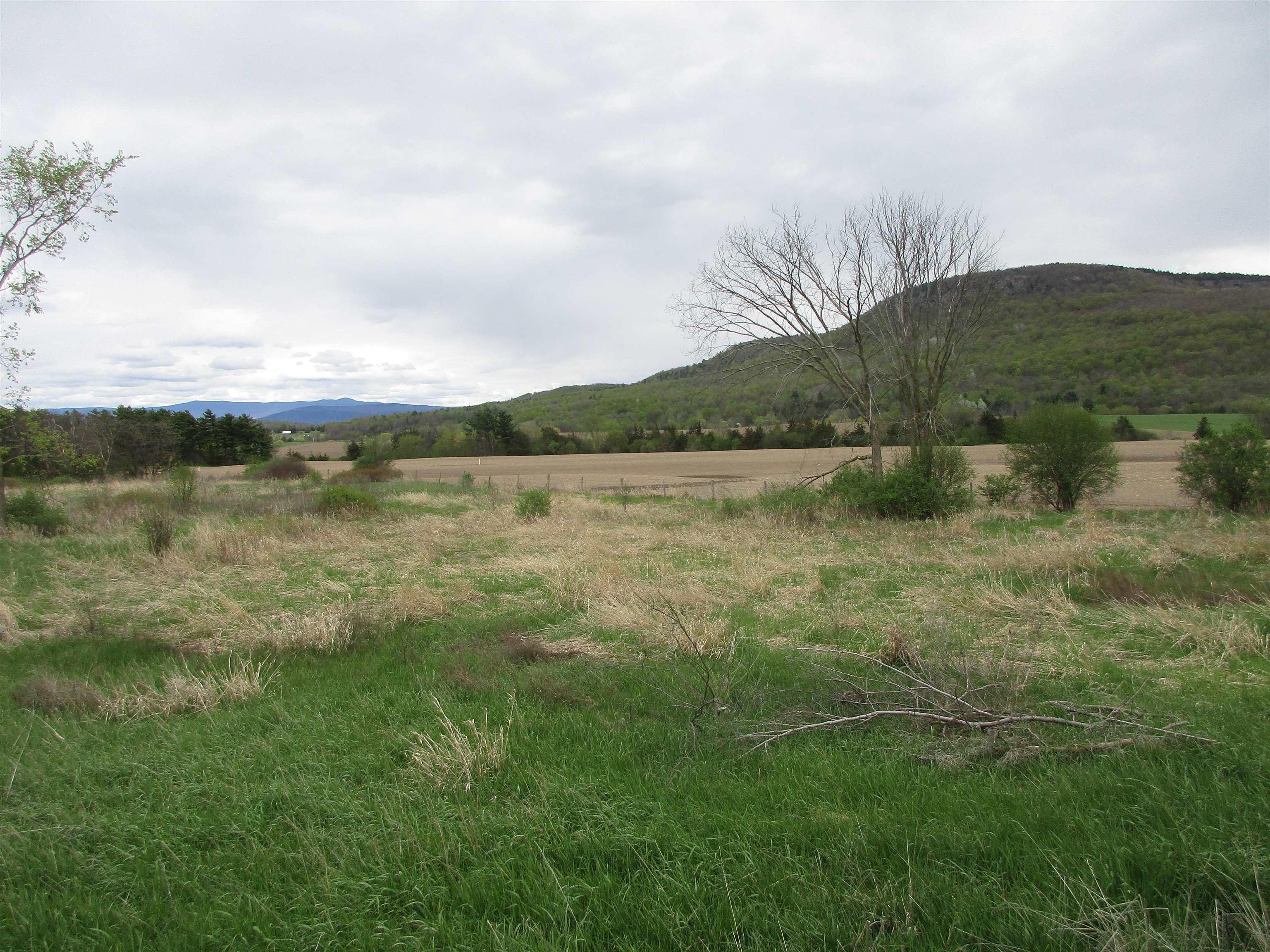 Image 3 Image 3