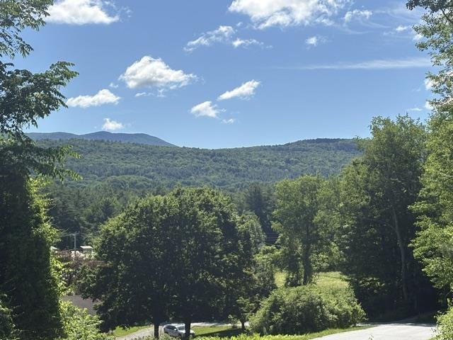 Image 1 Image 1