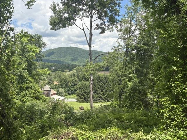 Image 4 Image 4