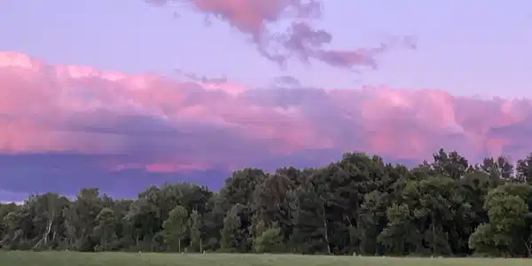 Image 4: Land across the street! Nice View!