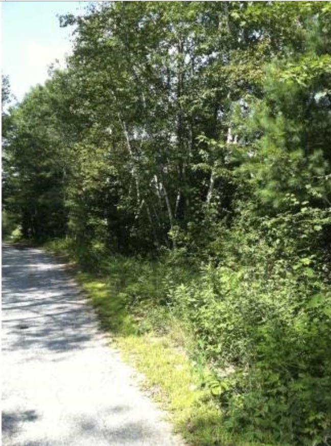 Image 4 Image 4