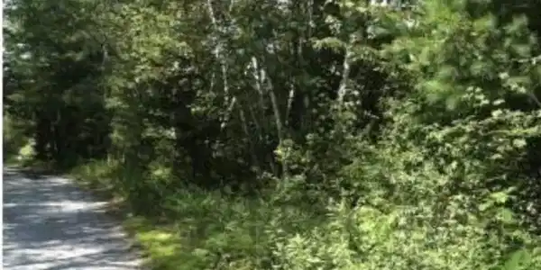 Image 4 Image 4