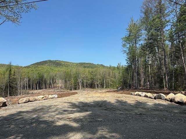 Image 1 Image 1