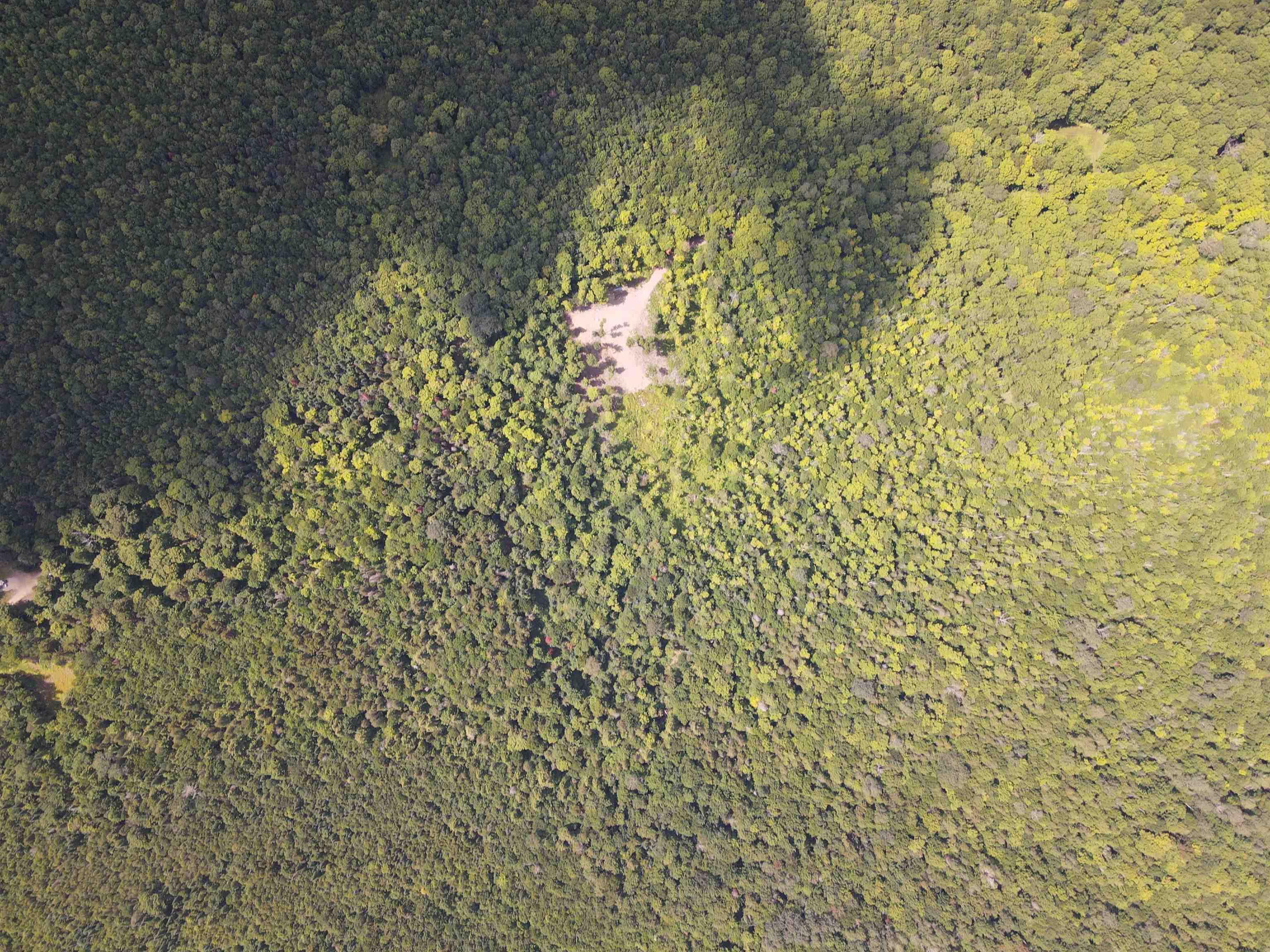 Image 3 Image 3