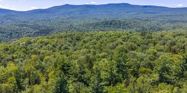 Image 4: 80 Acres in Landgrove and Peru