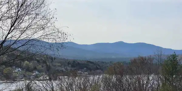 Lot 45 Fox Run