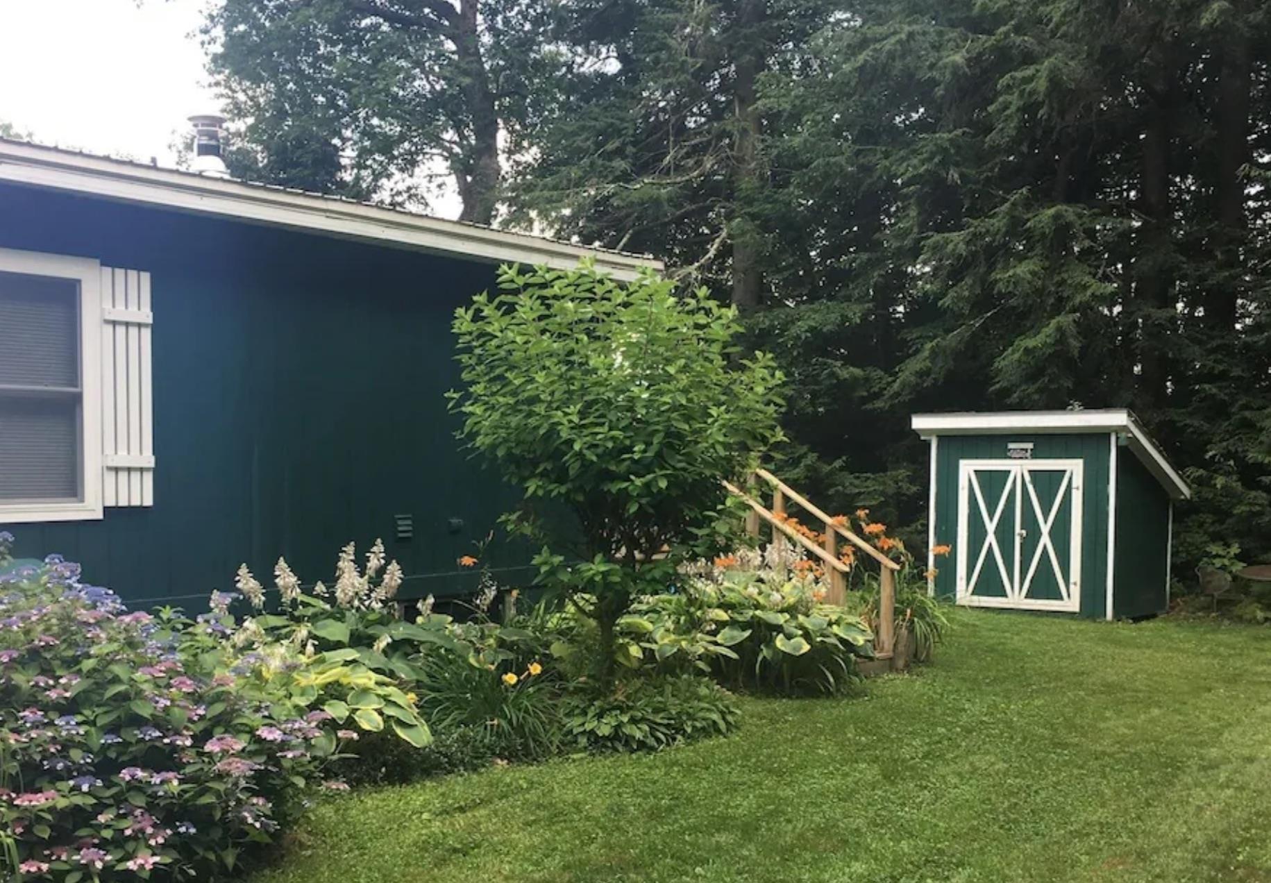 Image 3: LEVEL YARD AND SHED Image 3: LEVEL YARD AND SHED