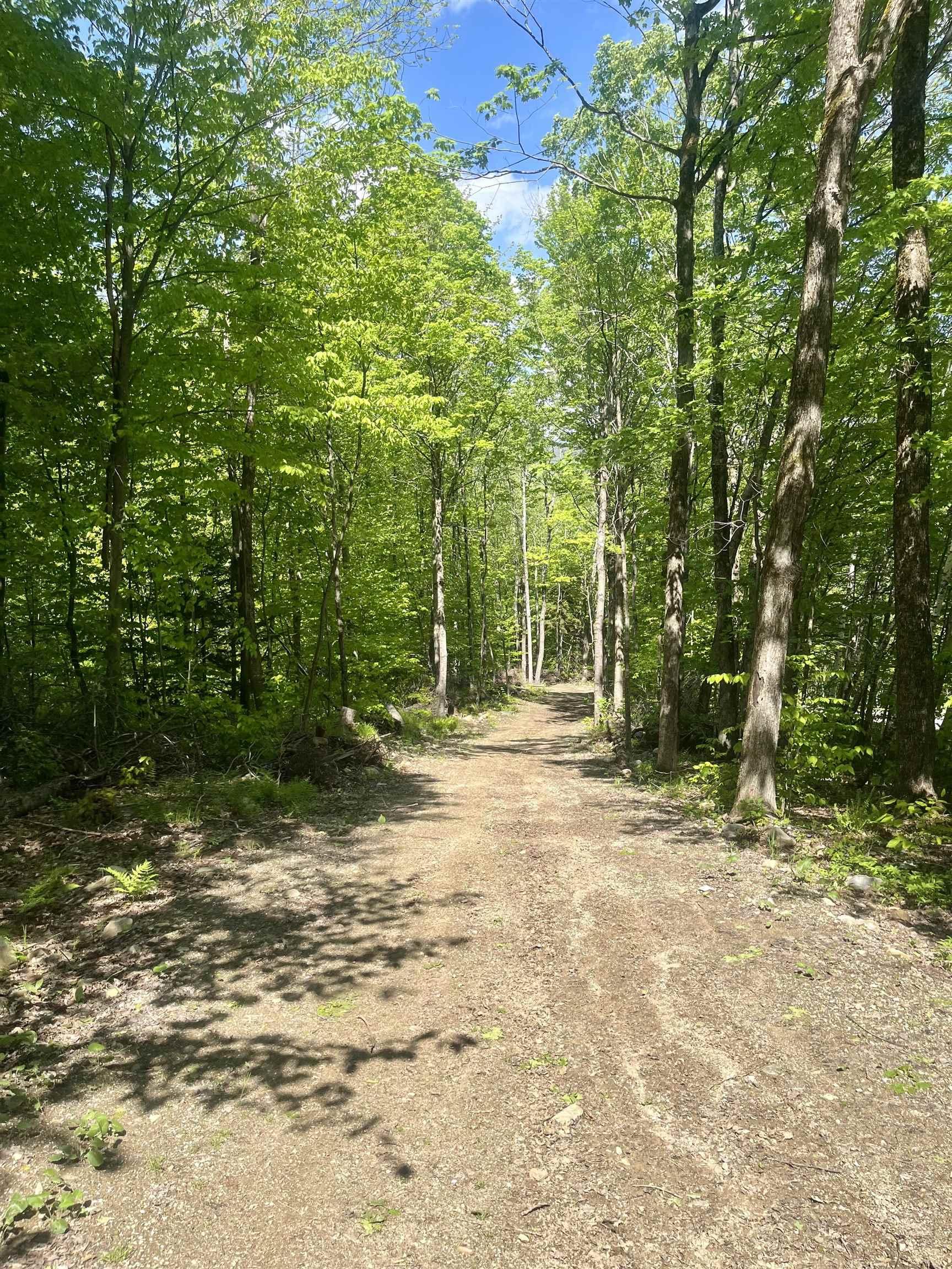 Image 3 Image 3