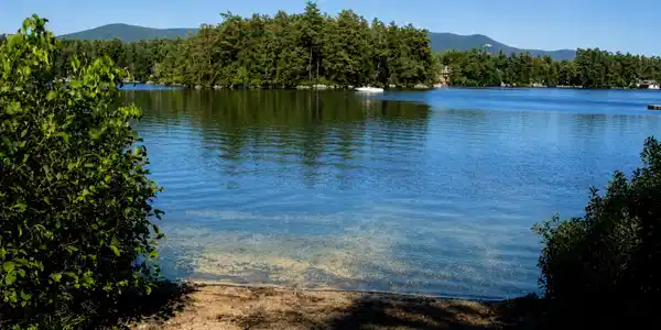 81 Buzzell Cove Road
