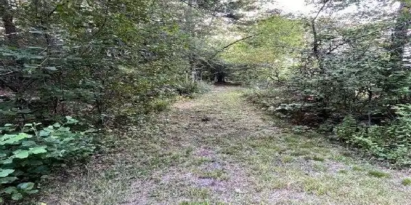Image 4 Image 4