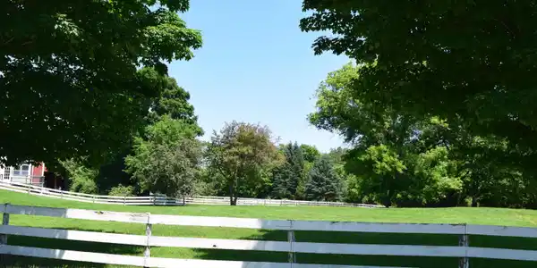 Image 3: Side and Back yards