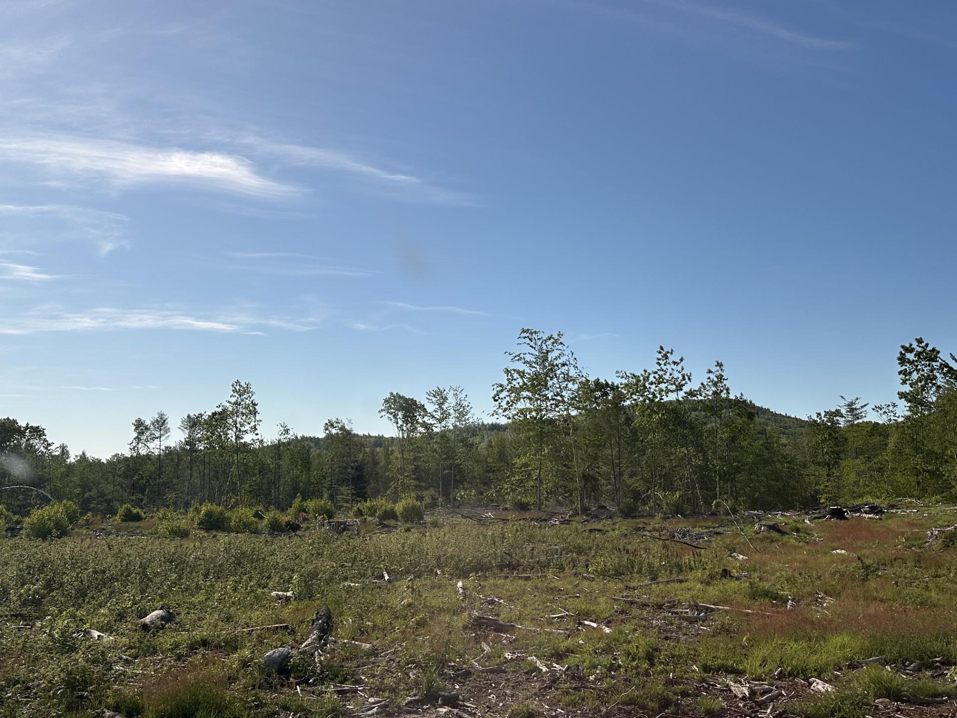 Image 3 Image 3