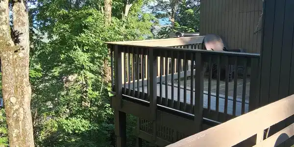 Image 4: Private Deck