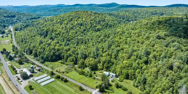 Image 2: Vt Route 12 - Dog River Farm