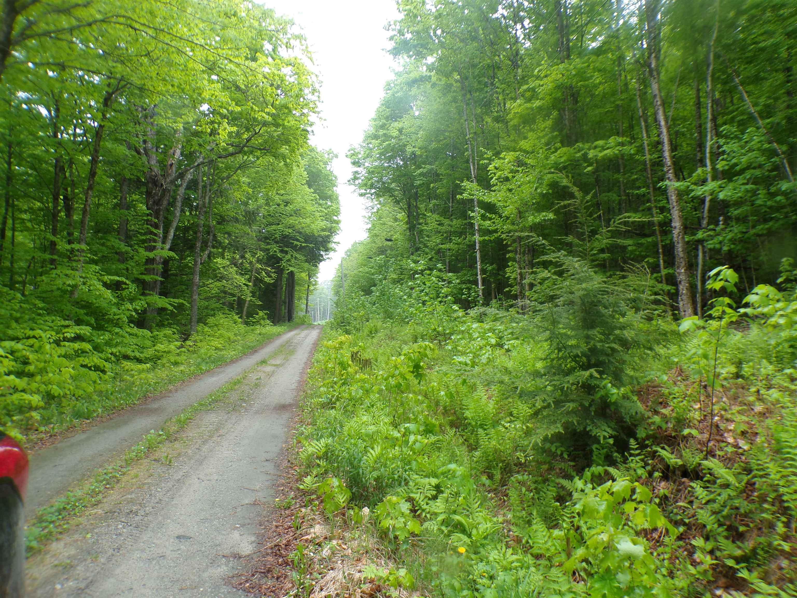 Image 2 Image 2