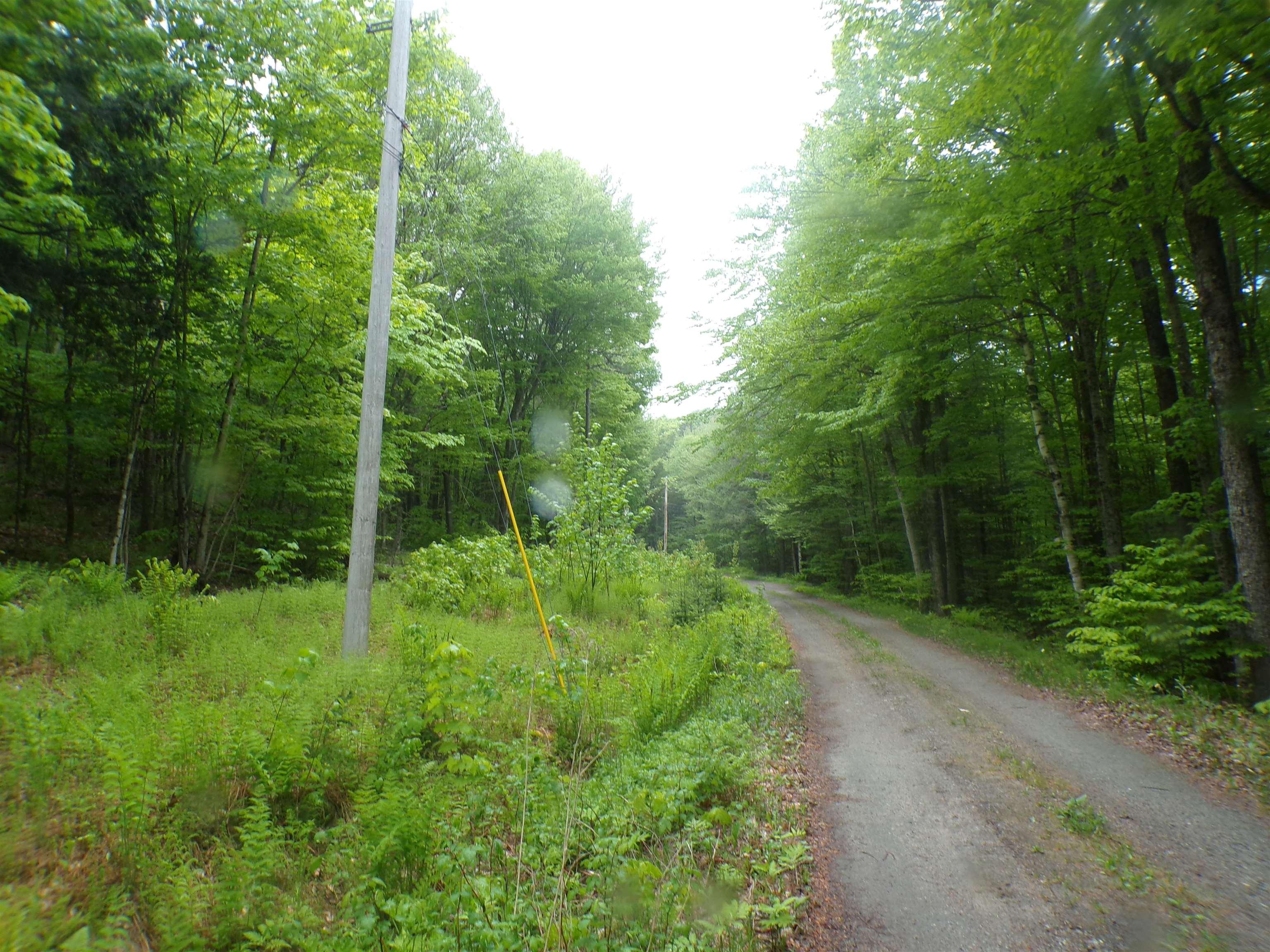 Image 3 Image 3