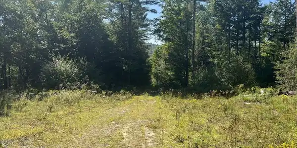 22 Plaisted Road