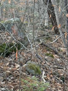 Lot 2, 259 Wood Road